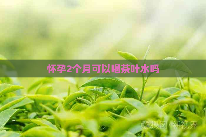 怀孕2个月可以喝茶叶水吗