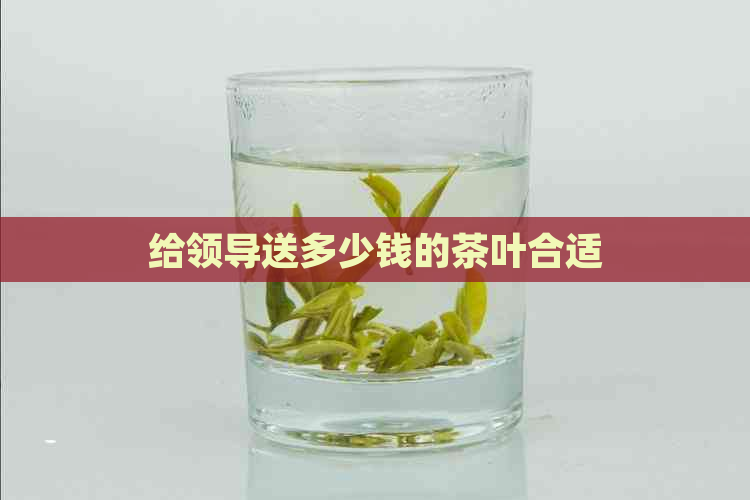 给领导送多少钱的茶叶合适