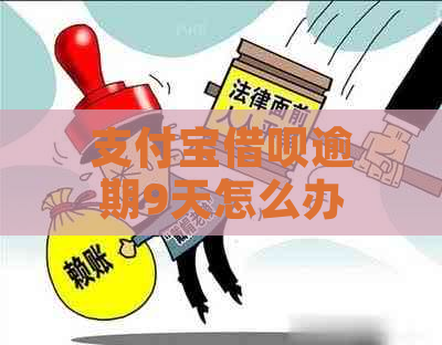 支付宝借呗逾期9天怎么办