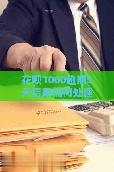 花呗1000逾期5天后果如何处理