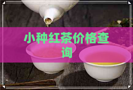 小种红茶价格查询