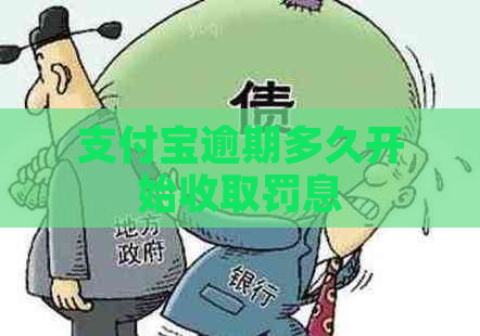 支付宝逾期多久开始收取罚息