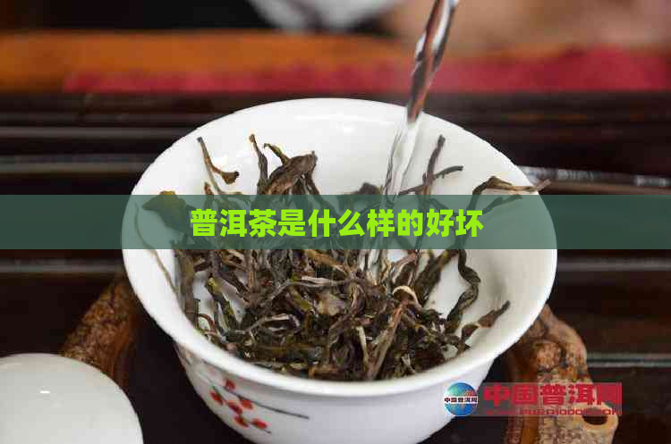 普洱茶是什么样的好坏