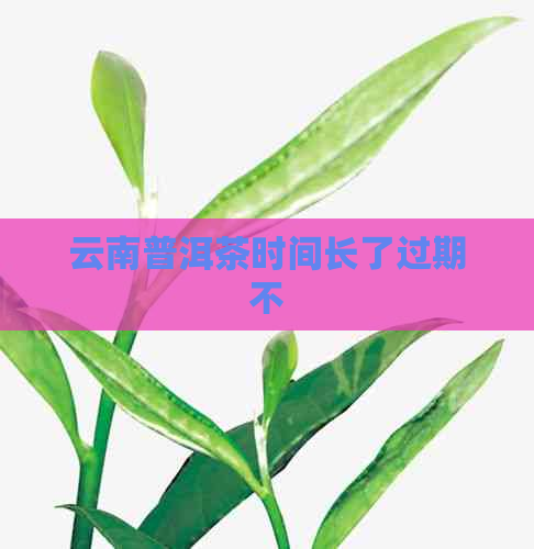 云南普洱茶时间长了过期不