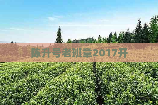 陈升号老班章2017开