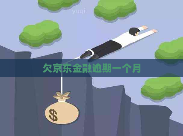 欠京东金融逾期一个月