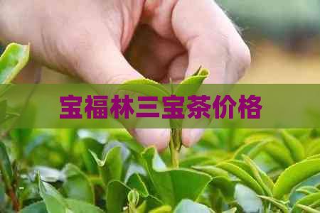 宝福林三宝茶价格