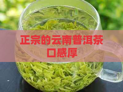 正宗的云南普洱茶口感厚