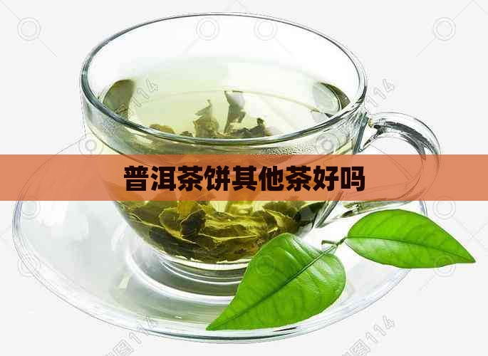 普洱茶饼其他茶好吗