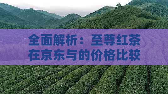 全面解析：至尊红茶在京东与的价格比较，金骏眉茶叶图片展示