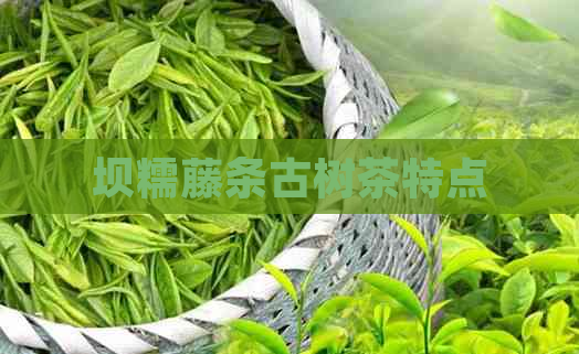 坝糯藤条古树茶特点