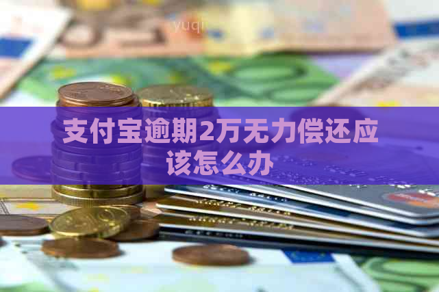 支付宝逾期2万无力偿还应该怎么办