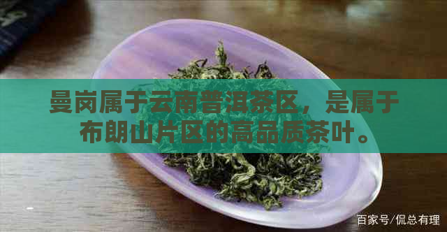 曼岗属于云南普洱茶区，是属于布朗山片区的高品质茶叶。