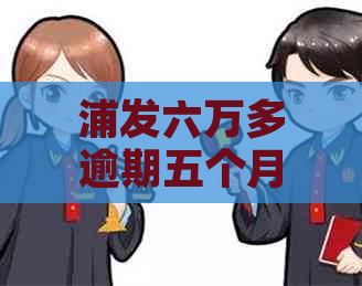 浦发六万多逾期五个月了如何解决