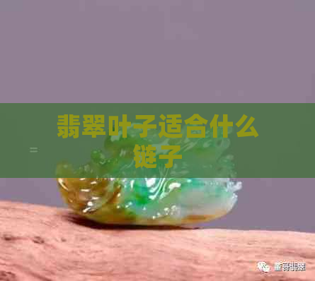 翡翠叶子适合什么链子