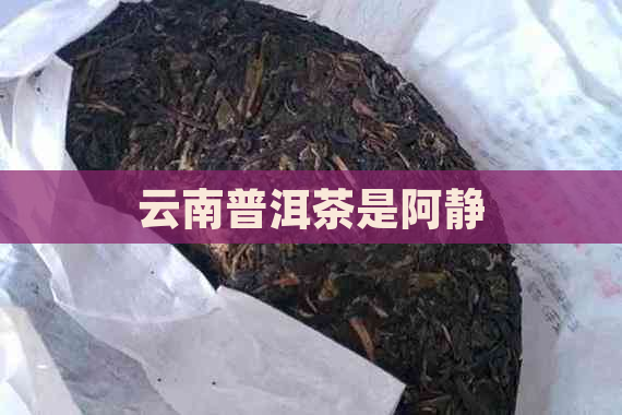 云南普洱茶是阿静