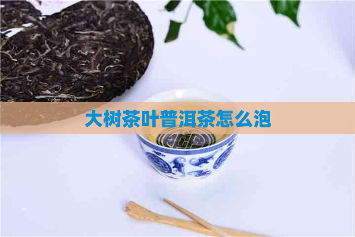 大树茶叶普洱茶怎么泡