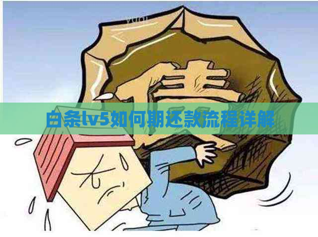 白条lv5如何期还款流程详解