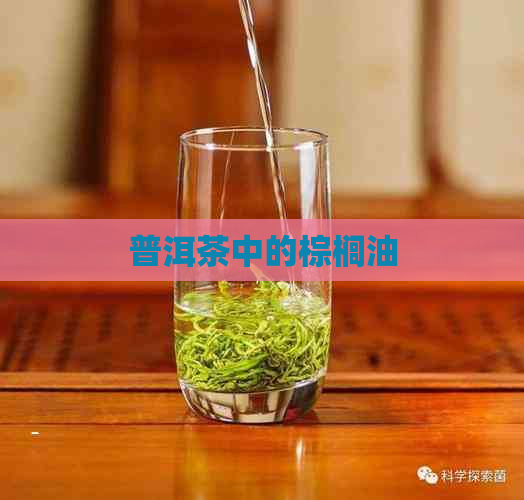 普洱茶中的棕榈油