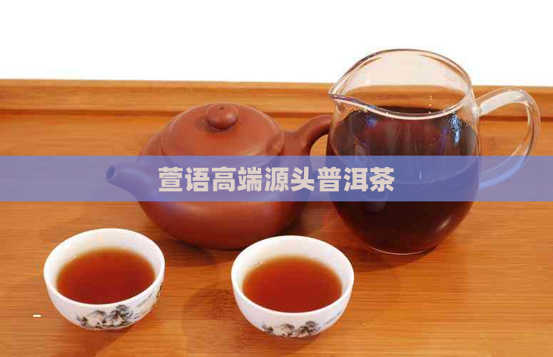 萱语高端源头普洱茶