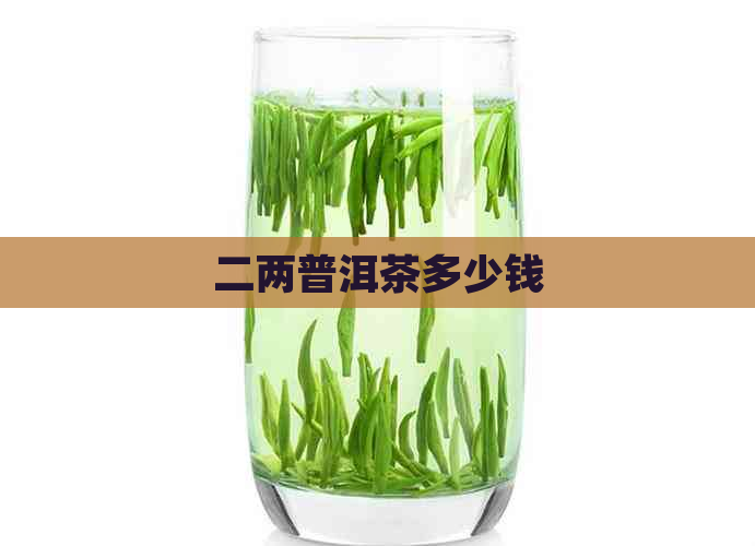 二两普洱茶多少钱