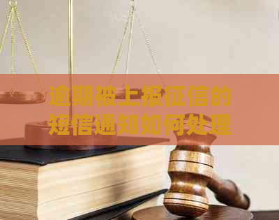 逾期被上报的短信通知如何处理