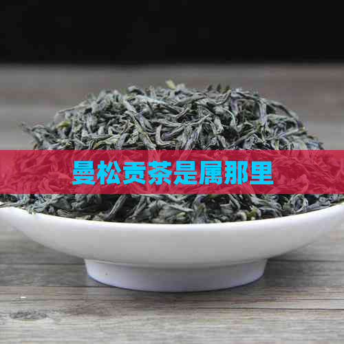 曼松贡茶是属那里