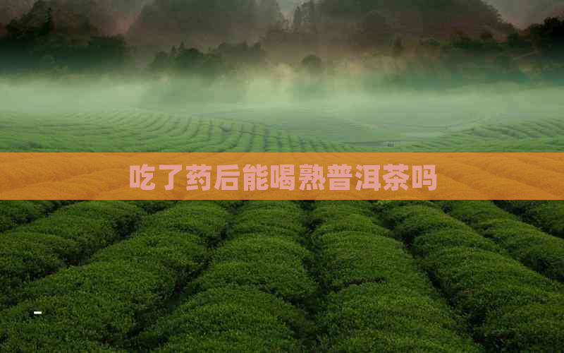 吃了药后能喝熟普洱茶吗