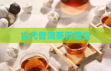 古代普洱茶有哪些