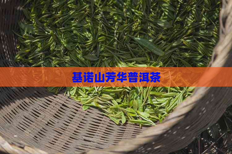 基诺山芳华普洱茶