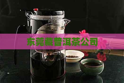 东莞藏普洱茶公司