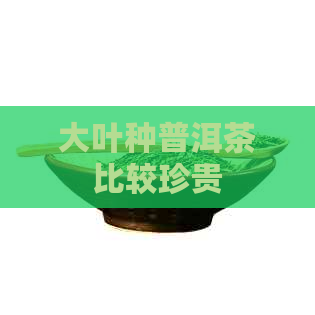 大叶种普洱茶比较珍贵