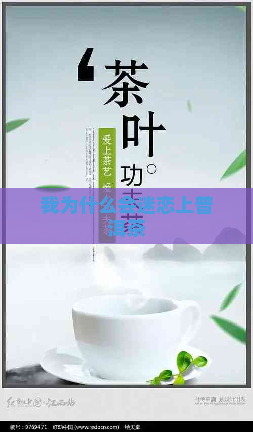 我为什么会迷恋上普洱茶