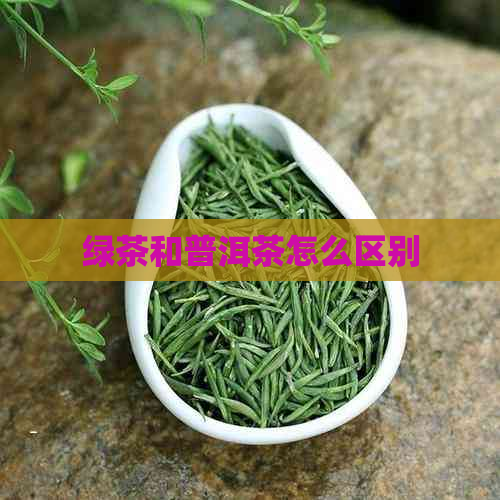 绿茶和普洱茶怎么区别