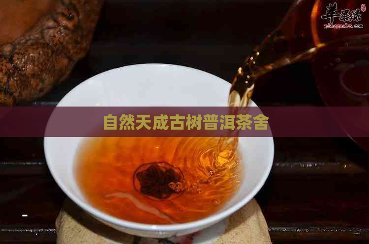 自然天成古树普洱茶舍