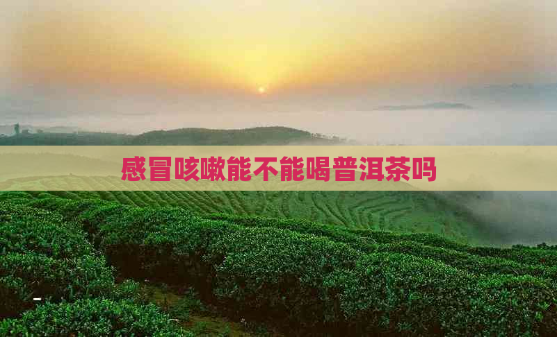 感冒咳嗽能不能喝普洱茶吗