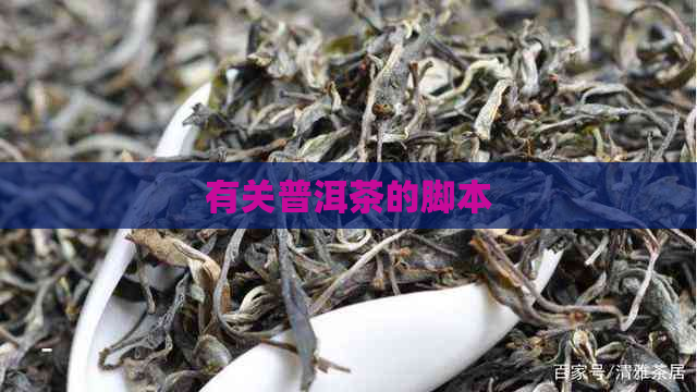 有关普洱茶的脚本