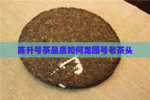 陈升号茶品质如何龙园号老茶头