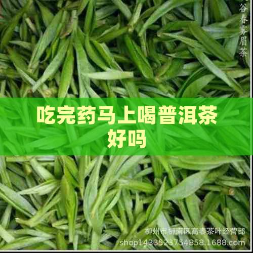 吃完药马上喝普洱茶好吗