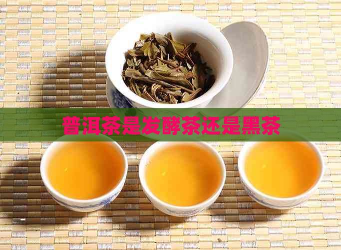 普洱茶是发酵茶还是黑茶