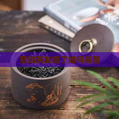 普洱茶发霉了如何杀菌