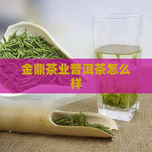 金鼎茶业普洱茶怎么样