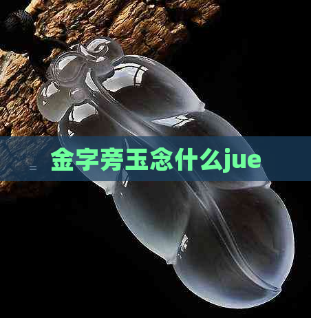 金字旁玉念什么jue