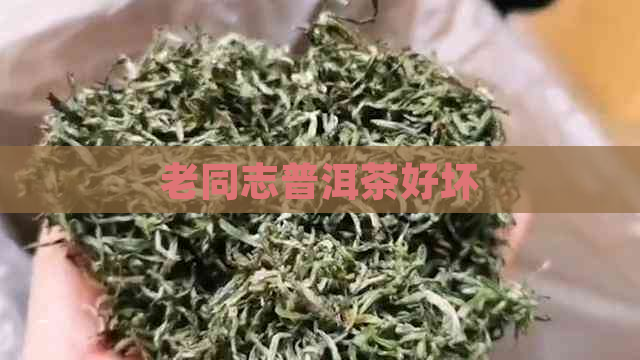 老同志普洱茶好坏