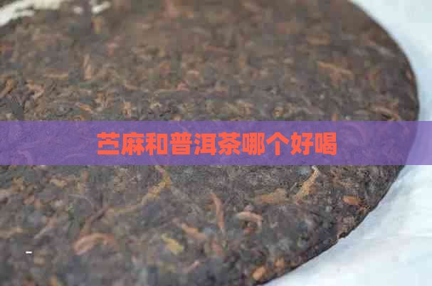 苎麻和普洱茶哪个好喝