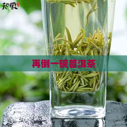 再倒一碗普洱茶