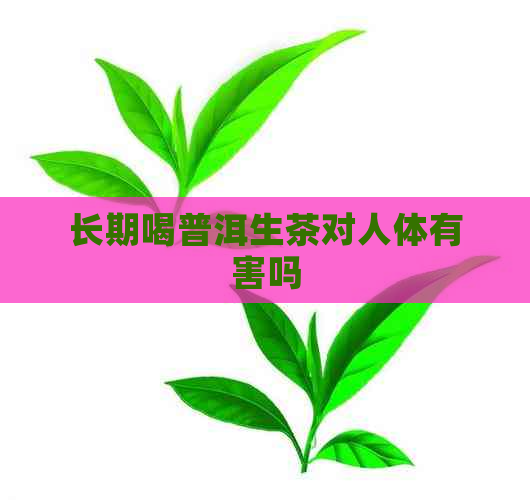 长期喝普洱生茶对人体有害吗