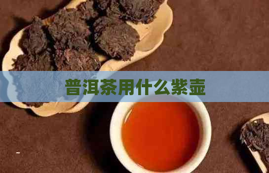 普洱茶用什么紫壶