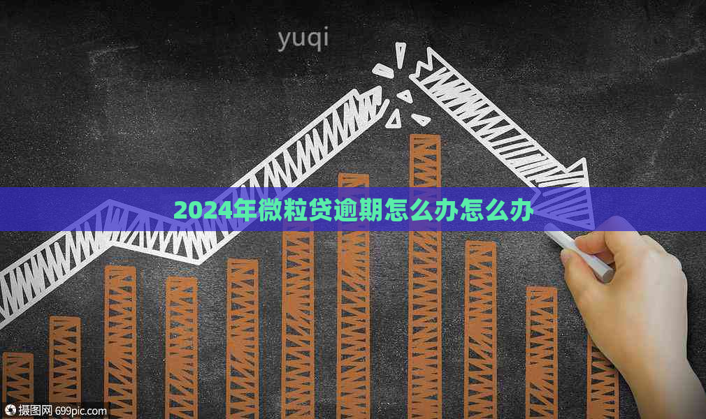 2024年微粒贷逾期怎么办怎么办