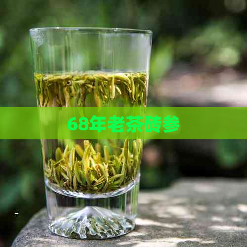 68年老茶砖参